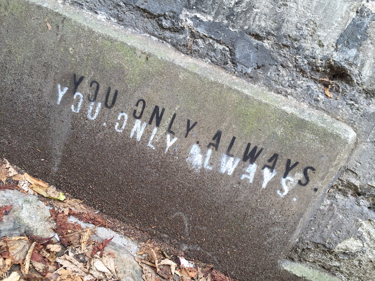 You. Only. Always has been spray painted on a wall art on the streets